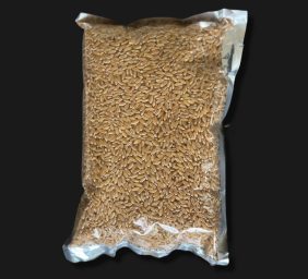 Bansi Wheat