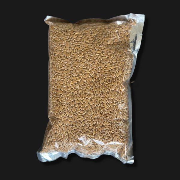 Bansi Wheat