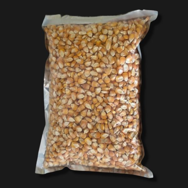 Maize / Corn / Makkai