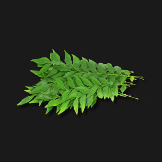 Curry Leaves (Kadi Patta)