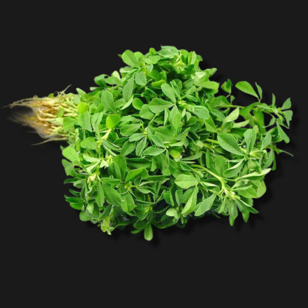 Fenugreek ( Methi)