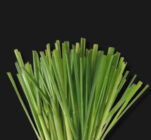 Green Tea Grass