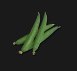 Organic Sponge Gourd