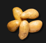 Potato