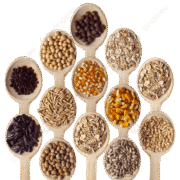 Rice & grains