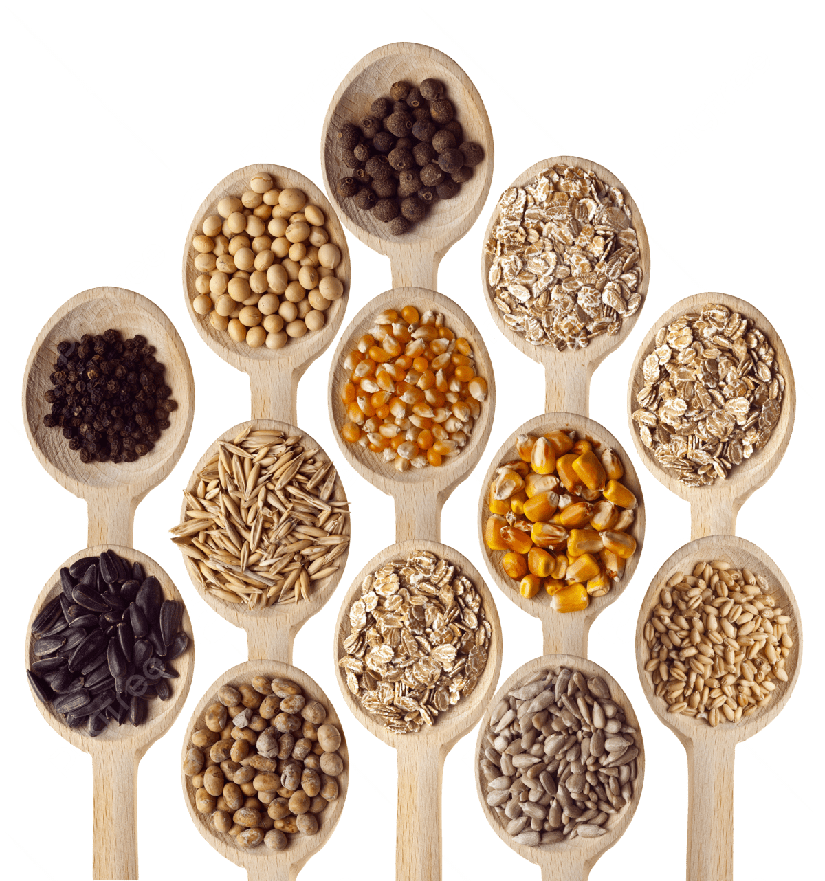 An assortment of grains and ingredients