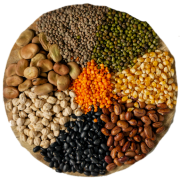Millets