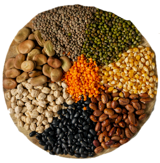 Millets collection illustration