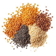Dals & pulses
