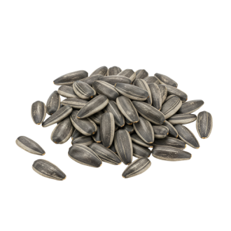 Sunflower Seeds