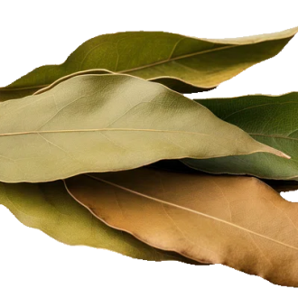 Bay Leaf