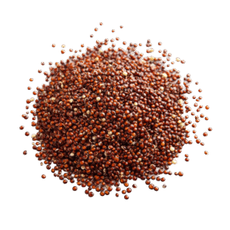 Finger Millet