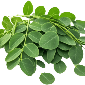 Moringa leaves