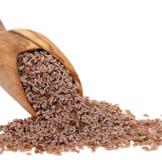 Psyllium Seeds
