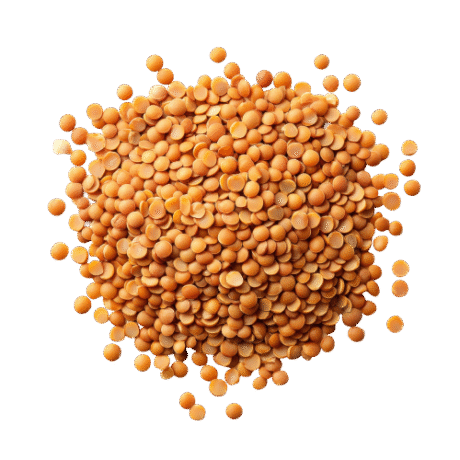 Toor Dal ingredient