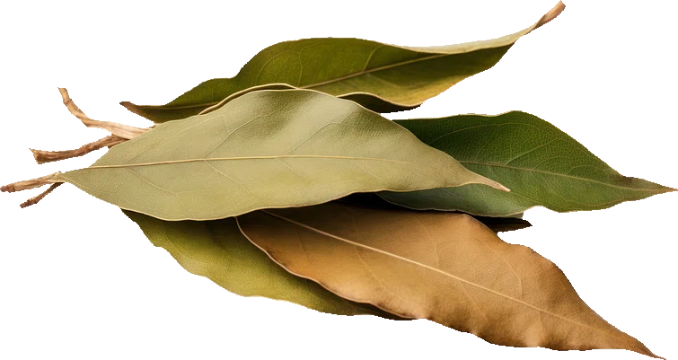 Bay Leaf — ingredient or product reference image; retail packaging may vary