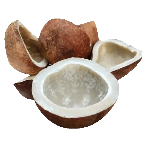Dry Copra — ingredient or product reference image; retail packaging may vary