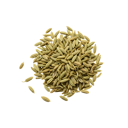 Fennel Seeds — ingredient or product reference image; retail packaging may vary
