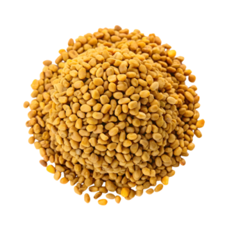 Fenugreek Seeds