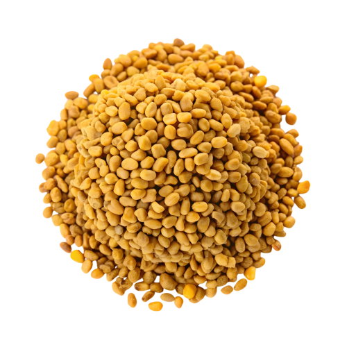 Fenugreek Seeds - Image 2
