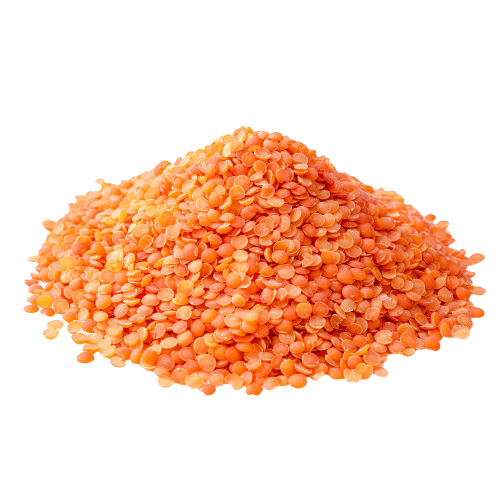 Masoor Dal — ingredient or product reference image; retail packaging may vary