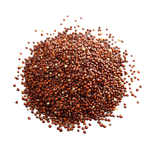 Kodri Millet - 1 kg