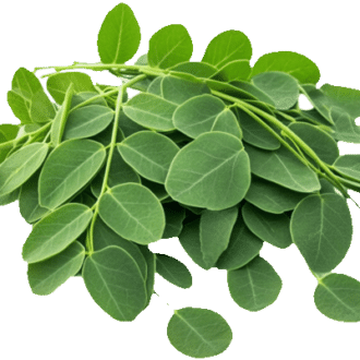 Moringa leaves — ingredient or product reference image; retail packaging may vary