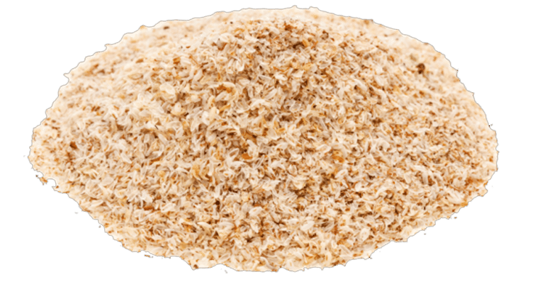 Psyllium Husk (Isabgol) — ingredient or product reference image; retail packaging may vary