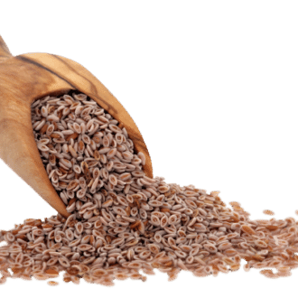 Psyllium Seeds — ingredient or product reference image; retail packaging may vary
