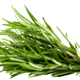 Rosemary Leaves — ingredient or product reference image; retail packaging may vary