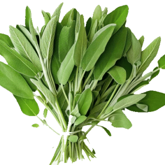 Sage Leaves — ingredient or product reference image; retail packaging may vary