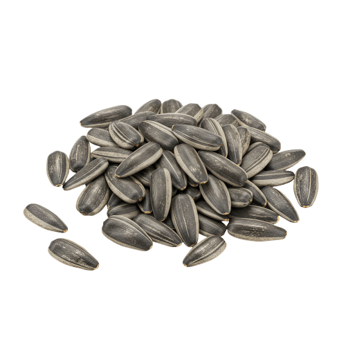 Sunflower Seeds — ingredient or product reference image; retail packaging may vary