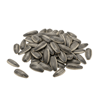 Sunflower seeds — ingredient reference image; retail packaging may vary