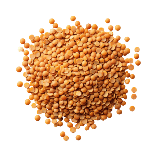 Toor Daal — ingredient or product reference image; retail packaging may vary